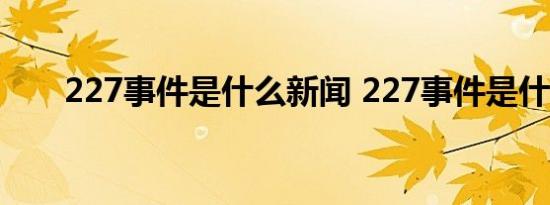 227事件是什么新闻 227事件是什么 