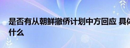 是否有从朝鲜撤侨计划中方回应 具体说了些什么