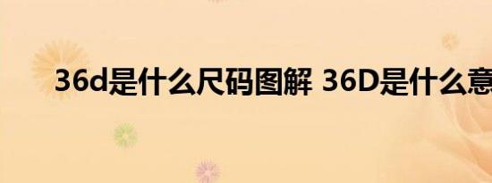 36d是什么尺码图解 36D是什么意思 