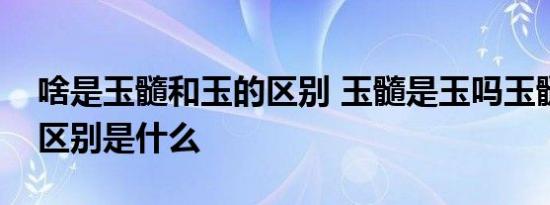 啥是玉髓和玉的区别 玉髓是玉吗玉髓和玉的区别是什么 