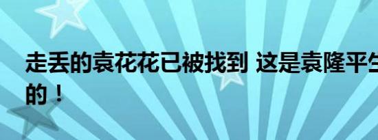 走丢的袁花花已被找到 这是袁隆平生前收养的！