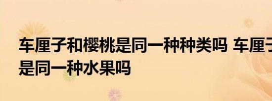 车厘子和樱桃是同一种种类吗 车厘子和樱桃是同一种水果吗 