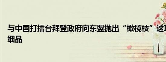 与中国打擂台拜登政府向东盟抛出“橄榄枝”这项行动值得细品