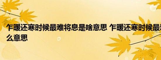 乍暖还寒时候最难将息是啥意思 乍暖还寒时候最难将息是什么意思 