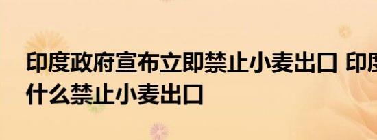 印度政府宣布立即禁止小麦出口 印度政府为什么禁止小麦出口