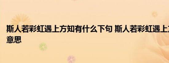 斯人若彩虹遇上方知有什么下句 斯人若彩虹遇上方知有什么意思 