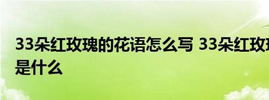 33朵红玫瑰的花语怎么写 33朵红玫瑰的花语是什么 