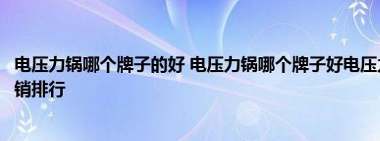 电压力锅哪个牌子的好 电压力锅哪个牌子好电压力锅十大畅销排行 