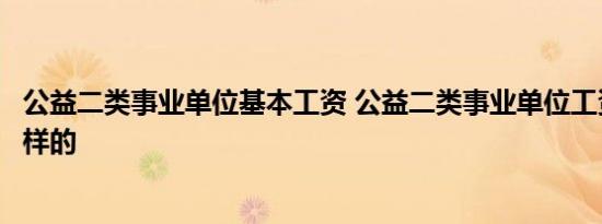 公益二类事业单位基本工资 公益二类事业单位工资标准是怎样的 