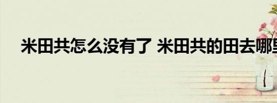 米田共怎么没有了 米田共的田去哪里了 