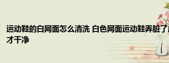 运动鞋的白网面怎么清洗 白色网面运动鞋弄脏了应该怎么洗才干净 