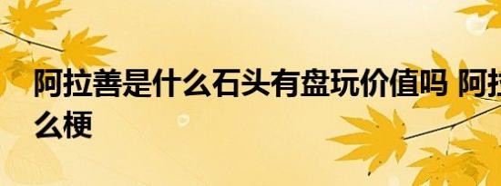 阿拉善是什么石头有盘玩价值吗 阿拉善是什么梗 