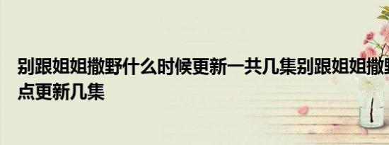 别跟姐姐撒野什么时候更新一共几集别跟姐姐撒野每周几几点更新几集