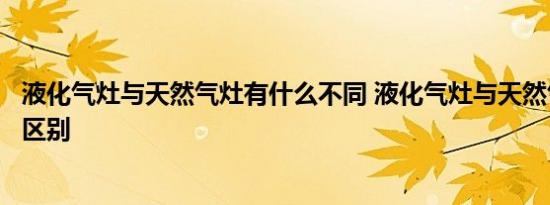 液化气灶与天然气灶有什么不同 液化气灶与天然气灶有什么区别 