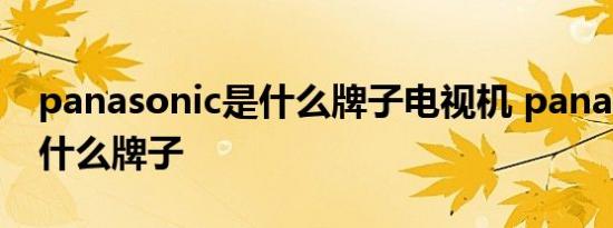 panasonic是什么牌子电视机 panasonic是什么牌子 