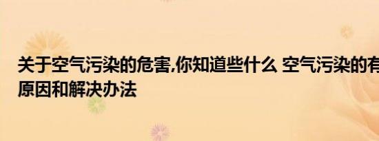 关于空气污染的危害,你知道些什么 空气污染的有哪些危害、原因和解决办法 