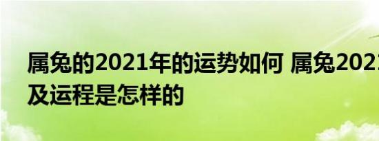 属兔的2021年的运势如何 属兔2021年运势及运程是怎样的 