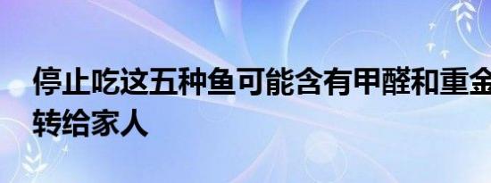 停止吃这五种鱼可能含有甲醛和重金属 建议转给家人