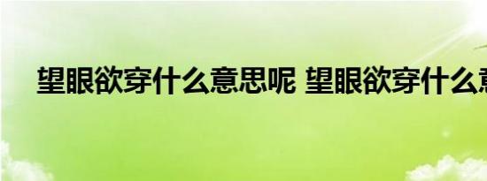 望眼欲穿什么意思呢 望眼欲穿什么意思 