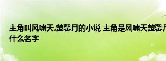 主角叫风啸天,楚馨月的小说 主角是风啸天楚馨月的小说叫什么名字 