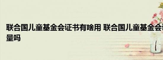 联合国儿童基金会证书有啥用 联合国儿童基金会证书有含金量吗 