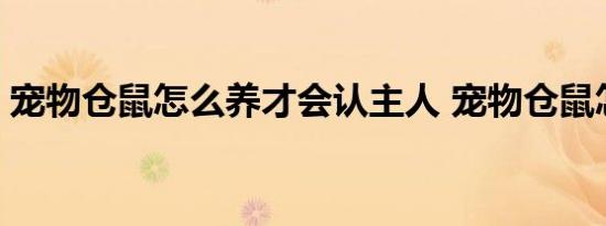 宠物仓鼠怎么养才会认主人 宠物仓鼠怎么养 