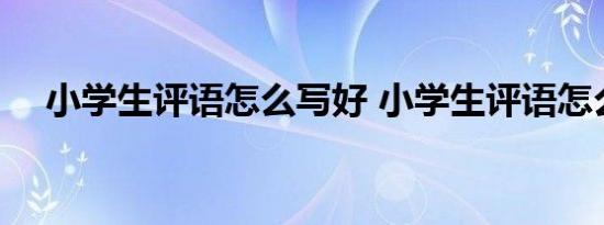 小学生评语怎么写好 小学生评语怎么写 