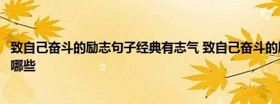 致自己奋斗的励志句子经典有志气 致自己奋斗的励志句子有哪些 