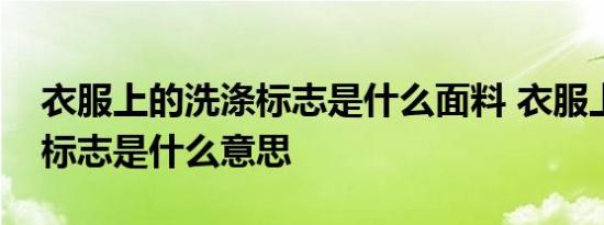 衣服上的洗涤标志是什么面料 衣服上的洗涤标志是什么意思 