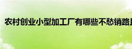 农村创业小型加工厂有哪些不愁销路且赚钱