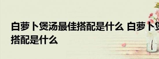 白萝卜煲汤最佳搭配是什么 白萝卜煲汤最佳搭配是什么 