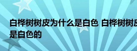 白桦树树皮为什么是白色 白桦树树皮为什么是白色的 