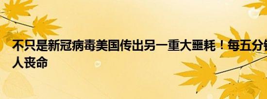 不只是新冠病毒美国传出另一重大噩耗！每五分钟就会有一人丧命