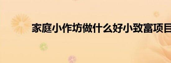 家庭小作坊做什么好小致富项目