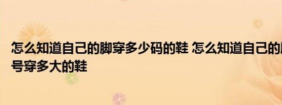 怎么知道自己的脚穿多少码的鞋 怎么知道自己的脚是多少码号穿多大的鞋 