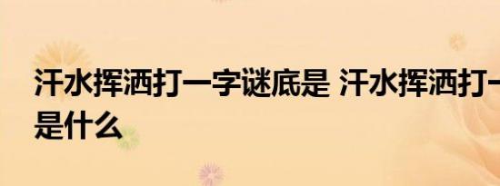 汗水挥洒打一字谜底是 汗水挥洒打一字谜底是什么 