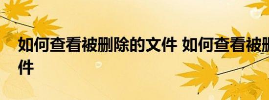 如何查看被删除的文件 如何查看被删除的文件 