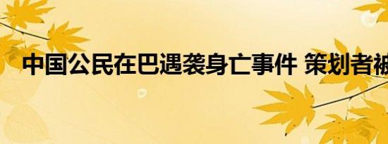 中国公民在巴遇袭身亡事件 策划者被逮捕