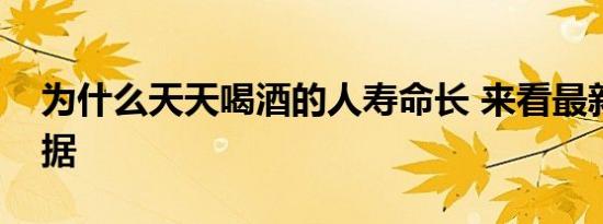 为什么天天喝酒的人寿命长 来看最新研究数据