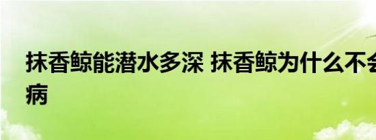 抹香鲸能潜水多深 抹香鲸为什么不会得潜水病 