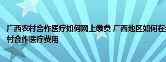 广西农村合作医疗如何网上缴费 广西地区如何在线交纳新农村合作医疗费用 