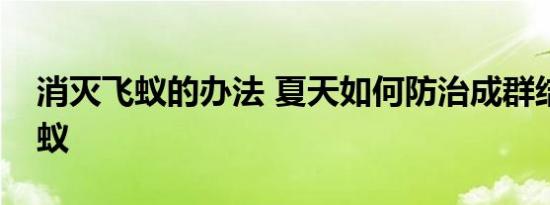 消灭飞蚁的办法 夏天如何防治成群结队的飞蚁 