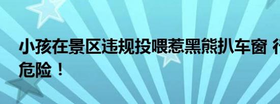 小孩在景区违规投喂惹黑熊扒车窗 行为十分危险！