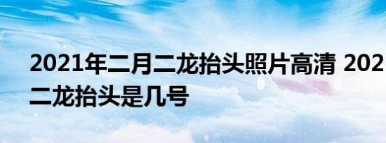 2021年二月二龙抬头照片高清 2021年二月二龙抬头是几号 