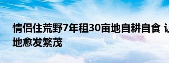 情侣住荒野7年租30亩地自耕自食 让这片山地愈发繁茂