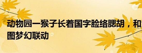 动物园一猴子长着国字脸络腮胡，和大耳朵图图梦幻联动