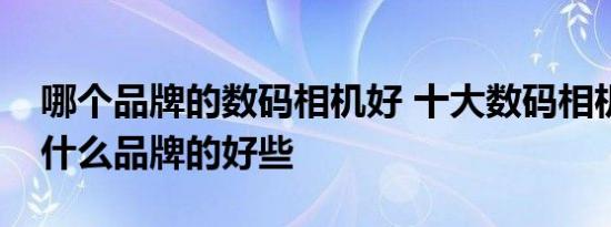 哪个品牌的数码相机好 十大数码相机排行榜什么品牌的好些 