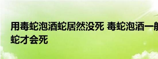 用毒蛇泡酒蛇居然没死 毒蛇泡酒一般泡多久蛇才会死 