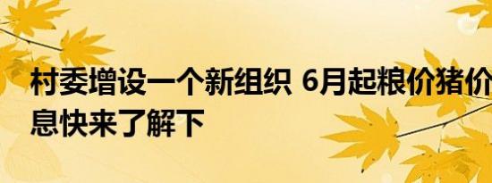 村委增设一个新组织 6月起粮价猪价4个好消息快来了解下