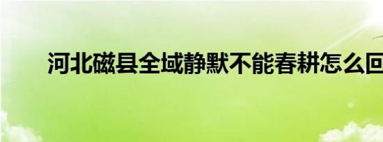 河北磁县全域静默不能春耕怎么回事